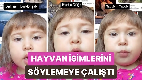 2 Yaşındaki Miniğin Hayvan İsimlerini Söylemeye Çalıştığı Anları İzlerken Yanaklarını Sıkmak İsteyeceksiniz