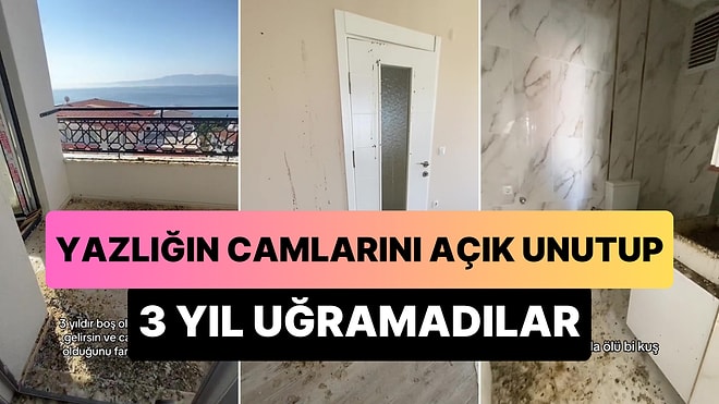 Camları Açık Unutulup 3 Yıl Uğranılmayan Deniz Manzaralı Yazlığın Halini Görünce Sizin İçiniz Acıyacak