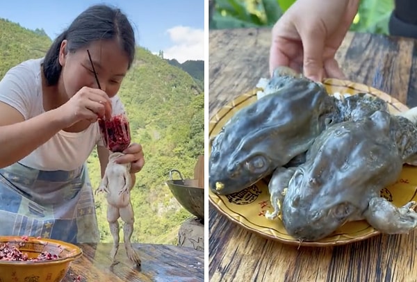 Bir kadın kurbağalarla yaptığı garip bir yemek tarifi verdi.
