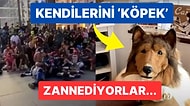 Kendilerini 'Köpek' Olarak Tanımlayan Yüzlerce İnsanın Sokakta Toplandığı Görüntüler İnfial Yarattı