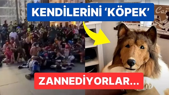 Kendilerini 'Köpek' Olarak Tanımlayan Yüzlerce İnsanın Sokakta Toplandığı Görüntüler İnfial Yarattı