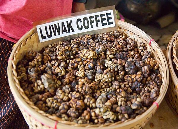 The Origins of Kopi Luwak