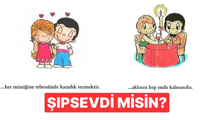 Sen Şıpsevdi misin?