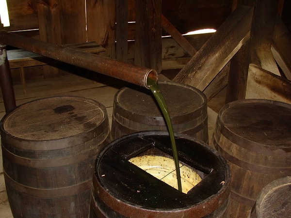 Algler ve planktonlar yüksek basınçlı ve düşük oksijenli bir ortamda milyonlarca yıl geçirdikten sonra dönüşüme uğradı.