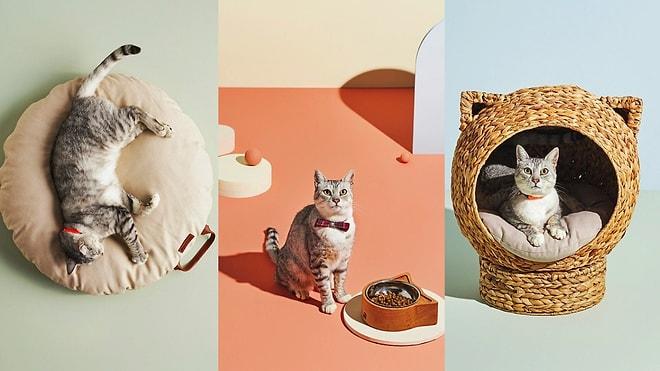 Kedi Sahiplerinin Mutlaka Edinmesi Gereken Birbirinden Güzel ve Kullanışlı Ürün Önerileri