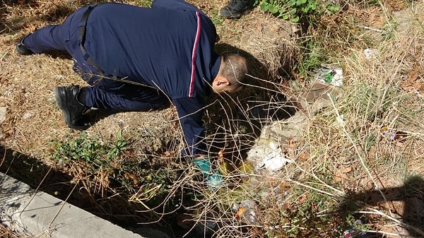 İddiaya göre, kimliği belirsiz kişi ya da kişilerce yaklaşık 2 gün önce yol kenarında bulunan rögar kuyusuna kimyasal madde döküldü.