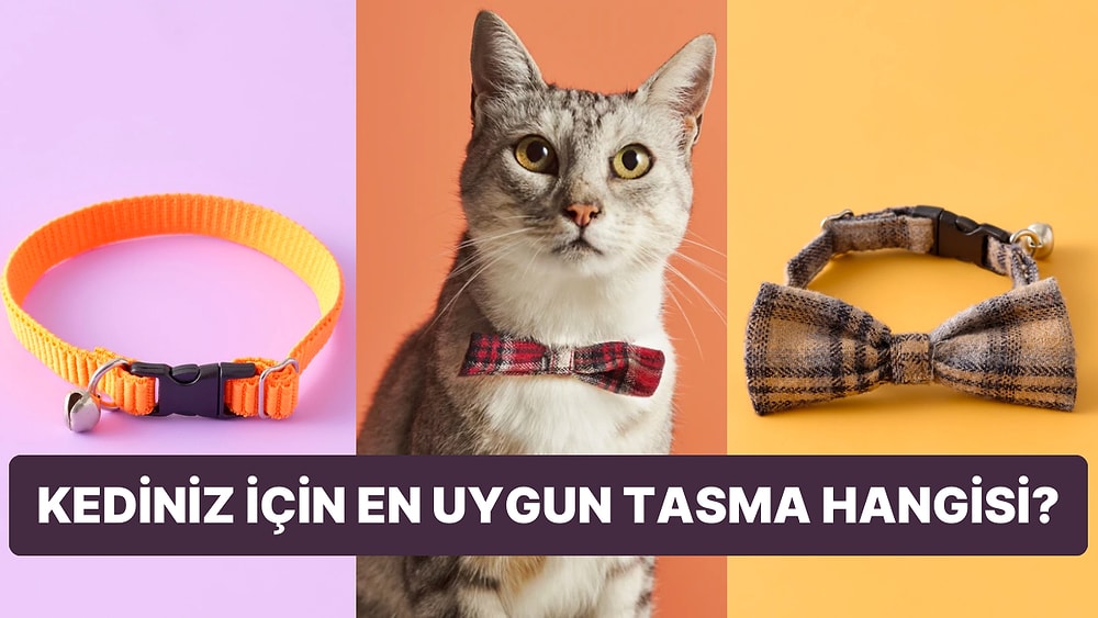 Kedi Tasması Seçerken Dikkat Edilmesi Gerekenler