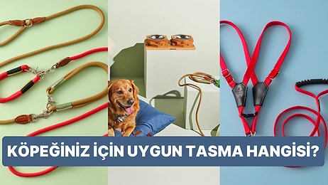 Köpekler İçin Gezdirme Tasması Seçerken Nelere Dikkat Edilmeli?