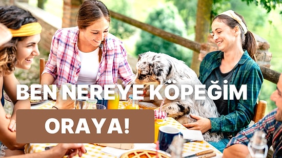 Yalnızca Gittiği Her Yere Yanında Köpeğini de Götürenlerin Anlayabileceği 11 Şey