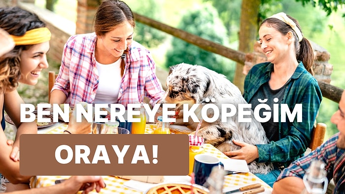 Yalnızca Gittiği Her Yere Yanında Köpeğini de Götürenlerin Anlayabileceği 11 Şey