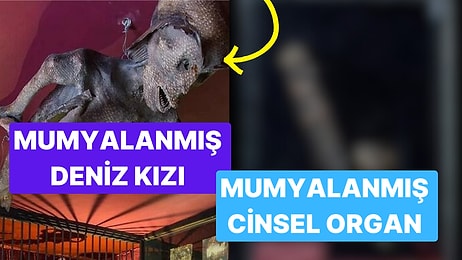 Sergilediği Birbirinden Enteresan Eşyalarıyla İngiltere'nin Akıllara Durgunluk Veren Müzesi