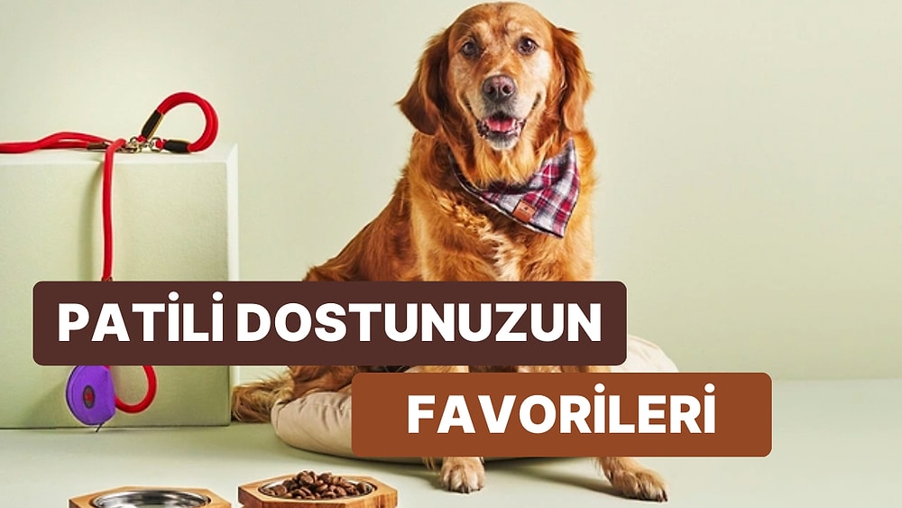 Köpek Sahiplerinin Mutlaka Edinmesi Gereken Birbirinden Güzel ve Kullanışlı Ürün Önerileri