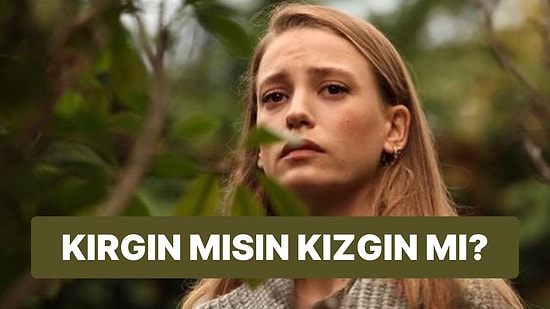 Sen Kırgın mısın Yoksa Kızgın mı?