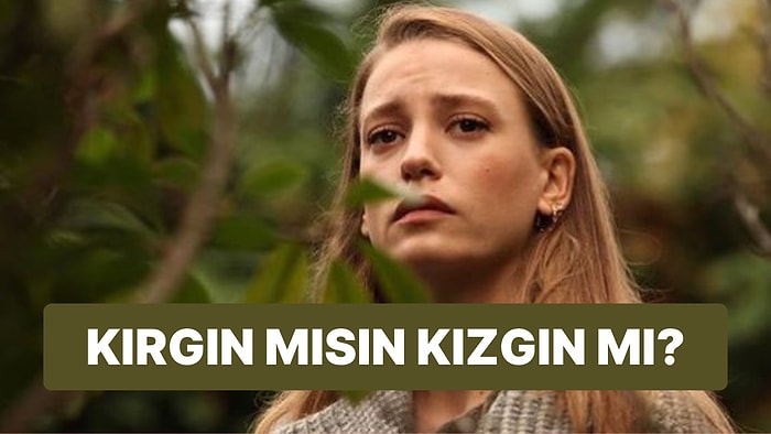 Sen Kırgın mısın Yoksa Kızgın mı?