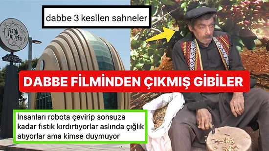 Müze Değil Sanki Korku Evi! Fıstık Müzesi'ndeki Heykellerin Garip Hareketleri Goygoycuların Diline Düştü