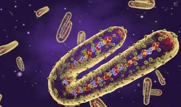 'Pirola 2-3 ay içinde önlem alınması gereken bir virüs haline gelebilir'