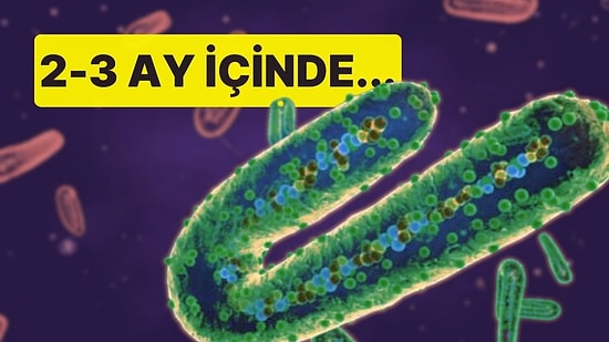 Uzman İsim Covid-19'un Yeni Varyantı 'Pirola'ya Karşı Tarih Vererek Uyardı: '2-3 Ay İçinde Önlem Alınabilir'