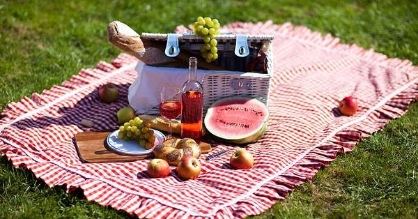 Charming Picnic in the Park