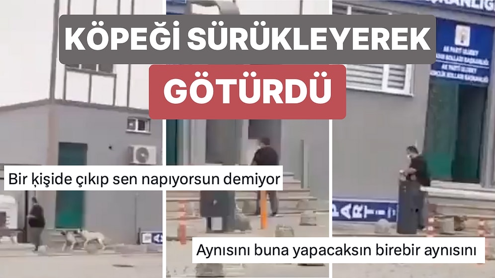 Ordu'da Bir Personelin Kulladığı Aparatla Sokak Köpeğini Sürüklediği Anlar Tepki Çekti