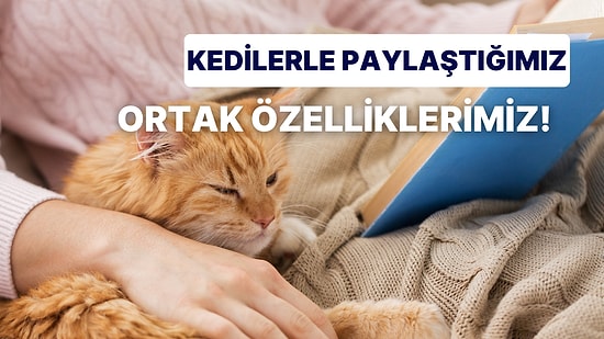 Her İnsan Biraz Kedidir! Birçoğumuzun Sahip Olduğu 10 Kedi Özelliği