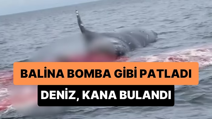 Öldükten Sonra Vücudu Suyun Üzerine Çıkan Balina Bomba Gibi Patladı: Deniz, Kan Gölüne Döndü!