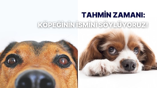 Köpeğinin Adını Tahmin Ediyoruz!