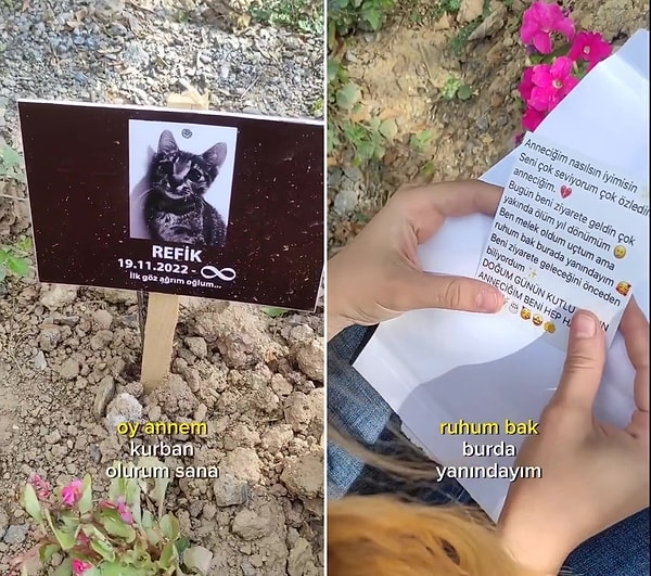 Sevgilisinin ölen Refik isimli kedisi için mezar yaptıran genç, doğum günü hediyesi ile gözyaşlarına boğdu.