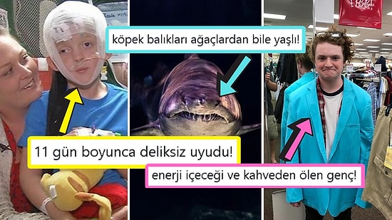 Öğrenince Size Küçük Çaplı Şok Geçirtecek Daha Önce Hiç Duymadığınız 15 İlginç Bilgi