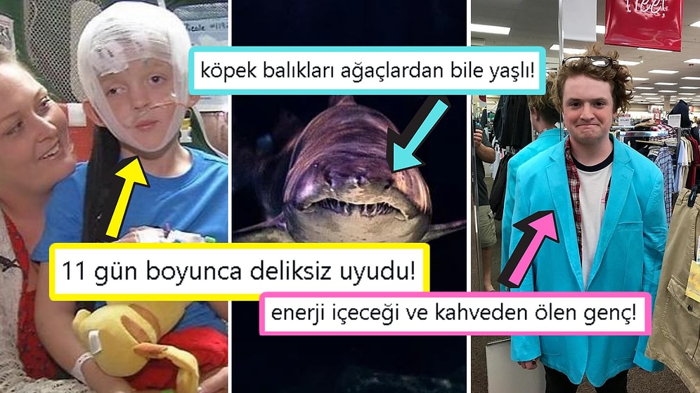 Öğrenince Size Küçük Çaplı Şok Geçirtecek Daha Önce Hiç Duymadığınız 15 İlginç Bilgi