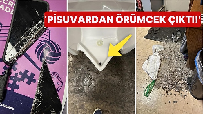 Çöle Düşse Kutup Ayılarıyla Karşılaşıp Birtakım Tatsız Olaylar Yaşayabilecek 17 Bahtsız Kişi