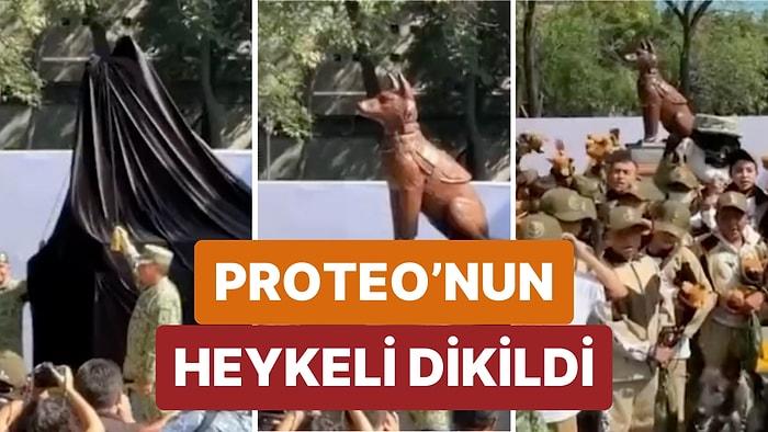 Adıyaman'da Arama Kurtarma Çalışmaları Sırasında Hayatını Kaybeden Kahraman Köpek Proteo'nun Heykeli Dikildi
