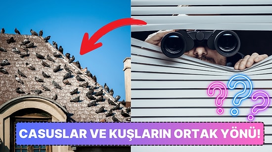 Kuşların Casus Olduğuna Bile İnanmışlar: İnsanlar Neden Kuşların Gerçek Olmadığına İnanmaya Başladı?
