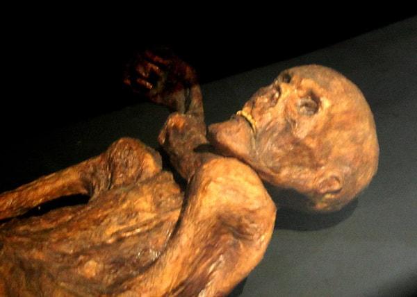 11. Buz adam Ötzi, 5000 yıllık bir cinayetin kurbanıydı.