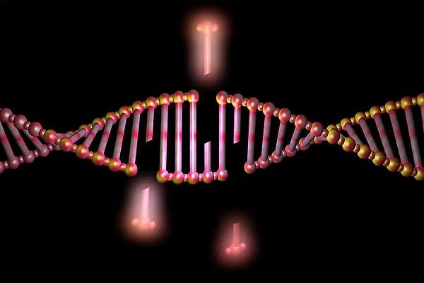 Zeng liderliğindeki ekibin geliştirdiği yeni yöntem, geleneksel CRISPR teknolojisinin hedef dışı istenmeyen bazı gen düzenleme hatalarına karşın, sadece kontrol altında DNA düzenlemeleri yapabiliyor. Böylece, gen düzenleme işlemlerinde ortaya çıkan sorunlar büyük ölçüde önlenebiliyor.