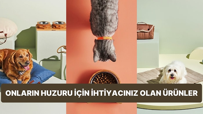 Kedi ve Köpeklerinize Bir Alan Hazırlarken Evinizde Bulundurmanız Gereken Ürünler