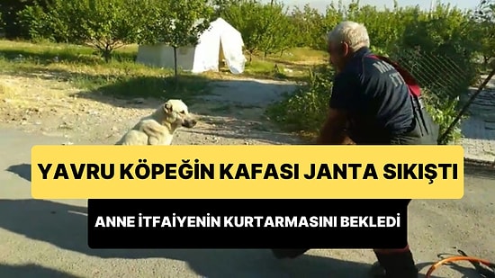 İtfaiye Ekipleri Kafası Janta Sıkışan Yavruyu Kurtarmaya Çalışırken, Anne Köpek Sabırla Bekledi