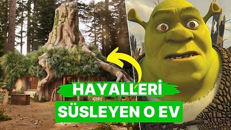 Görülecekler Listesine Bir Yer Daha Eklendi: Shrek'in Meşhur Bataklık Evi Airbnb'de Kiralamaya Açıldı