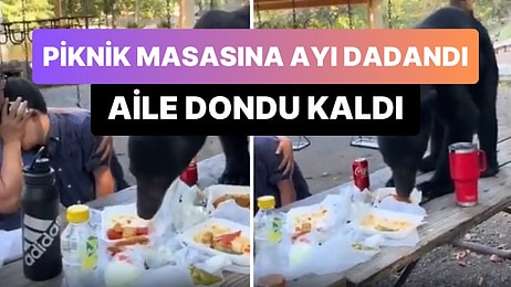 Piknik Yapan Ailenin Masasına Ayı Geldi: Anne ve Çocuğu Dona Kaldı!