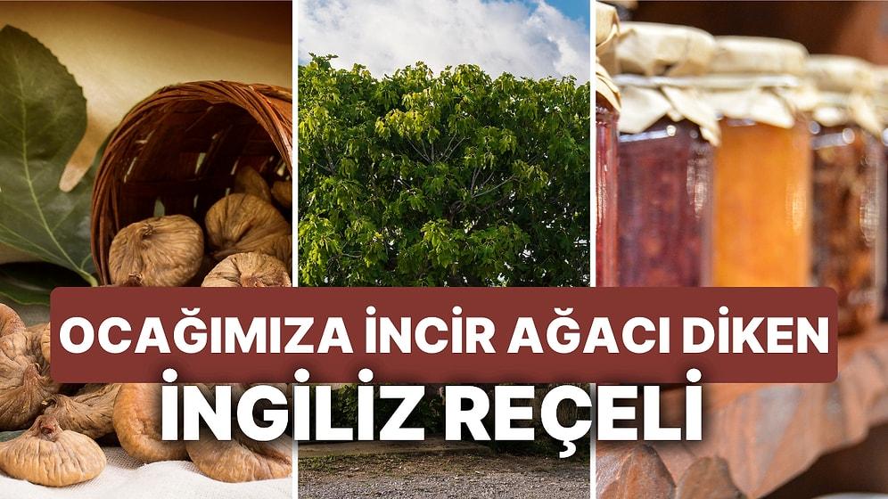Türkiye'de Katma Değerli Üretim ve Markalaşma Sorununa İngiltere'den İncir Örneği