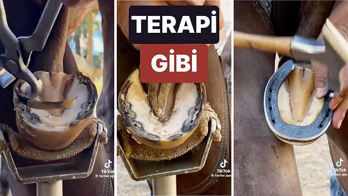 At Toynağı Temizleme Sürecini İzlemeyi Sevenleri Hipnotize Edecek Video