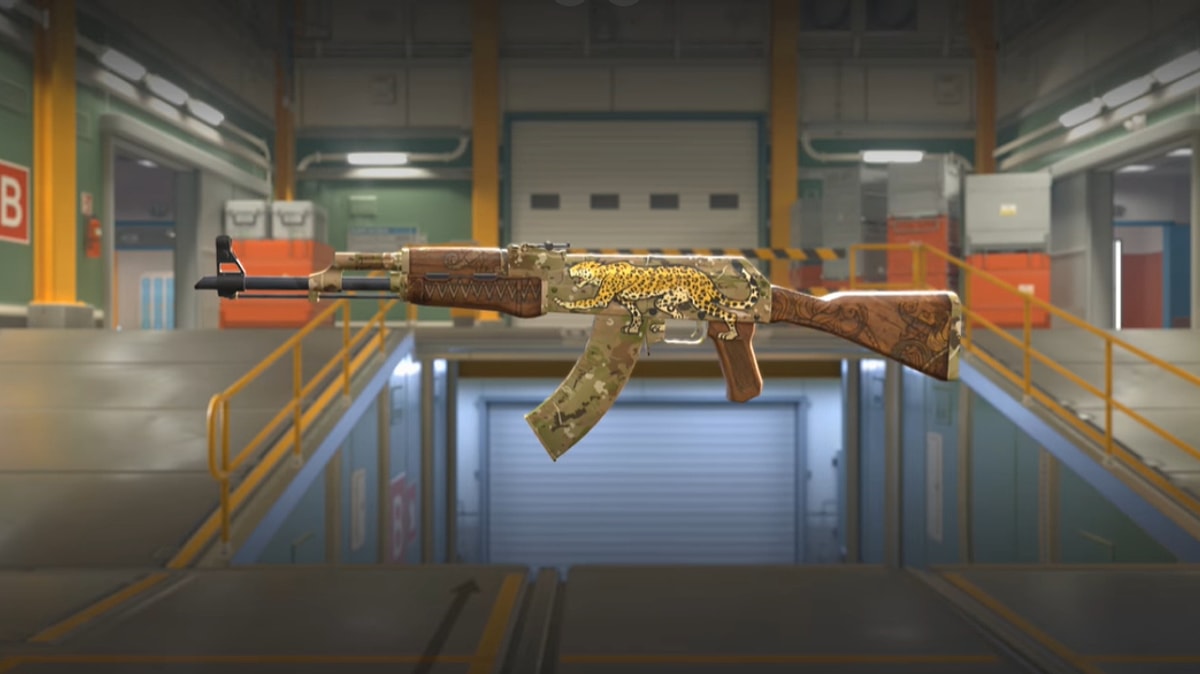 Ak skins cs фото 69