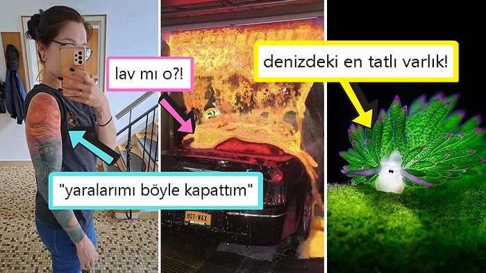 Gördüğünüz Anda İçinizin Yağlarını Eritip Sizi Pamuk Gibi Yapacak Birbirinden Etkileyici 17 Görsel