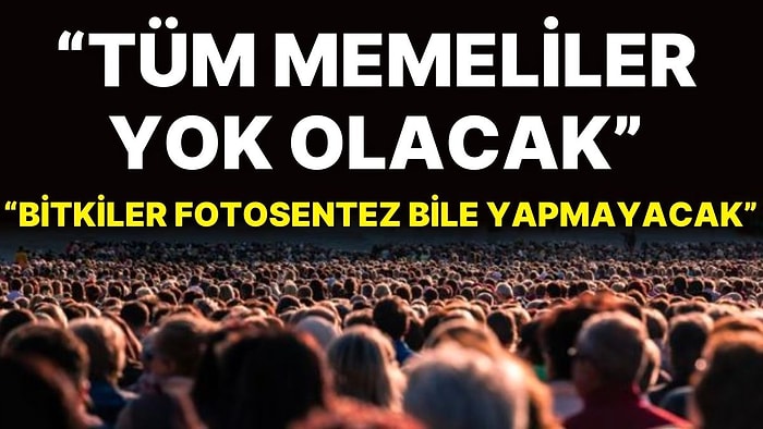 Bilim İnsanları, İnsanlığın Yok Olacağı Tarihi Açıkladı: "Tüm Memeli Canlılar Yok Olacak"