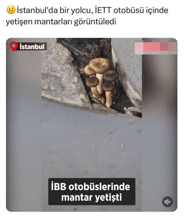 Dün bazı haber siteleri ve haber hesapları, İstanbul'da İETT'ye ait bir otobüste mantar yetiştiği iddiası ile bir videoyu paylaştılar.