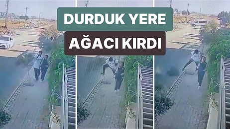 Şanlıurfa'da Arkadaşıyla Yürüyen Bir Genç Bir Anda Yanından Geçtiği Ağacı Kırdı