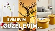 Evinizi Güzelleştirmek İçin Alabileceğiniz Dekoratif ve Eğlenceli Ürünler