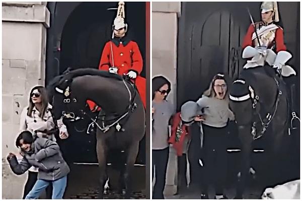 Bir İngiliz kraliyet atı, nöbeti sırasında kendisiyle fotoğraf çektirmek isteyenlere karşı saldırgan tavırlar sergiliyordu.
