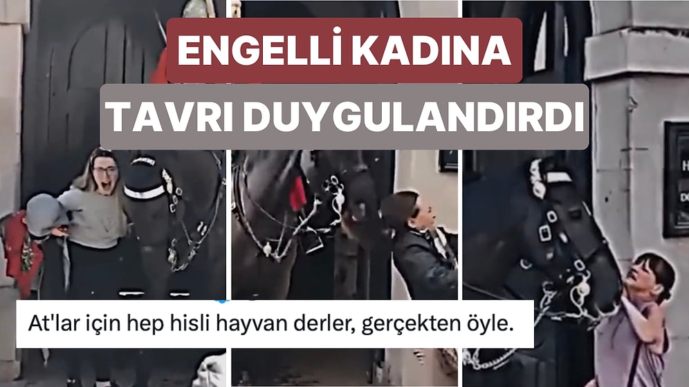 Kendisine Yaklaşanlara Saldırgan Davranışlar Sergileyen Kraliyet Atının Engelli Kadına Tavrı Duygulandırdı