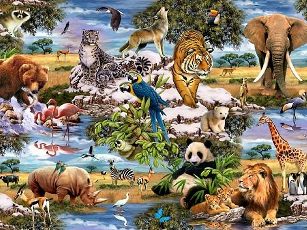 7. Which of these animals would you love to see?