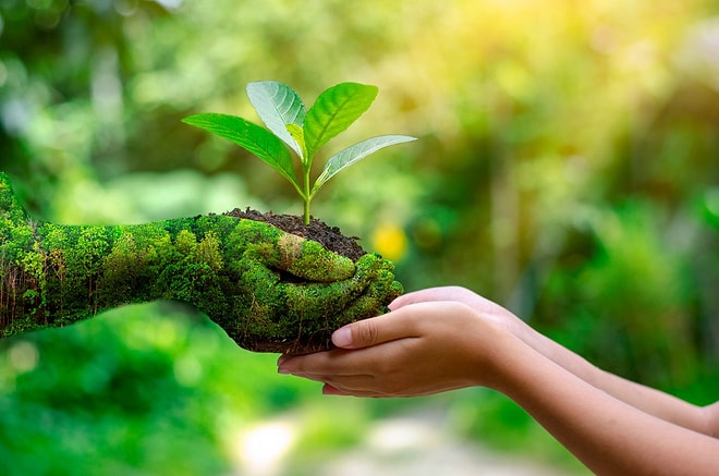 How Eco-Friendly Are You?